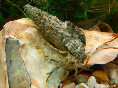 Фото Маленький кусочек моря (photo#157046)