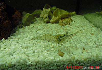 Фото Маленький кусочек моря (photo#157047)