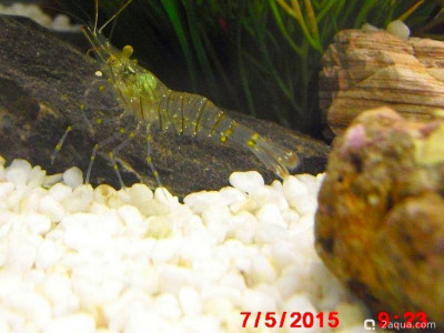 Фото Маленький кусочек моря (photo#157048)