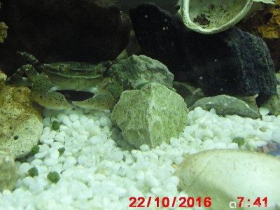 Фото Маленький кусочек моря (photo#157049)