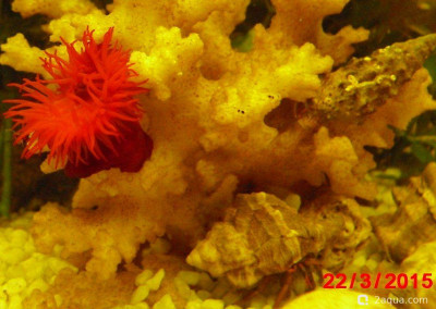 Фото Маленький кусочек моря (photo#157050)