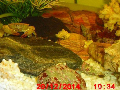 Фото Маленький кусочек моря (photo#157051)