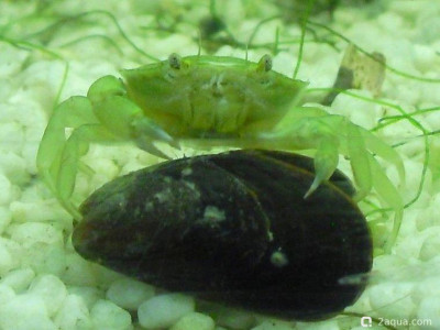 Фото Маленький кусочек моря (photo#157052)