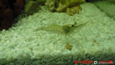 Фото Маленький кусочек моря (photo#157053)