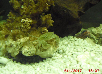 Фото Маленький кусочек моря (photo#157054)