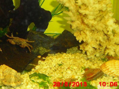 Фото Маленький кусочек моря (photo#157055)