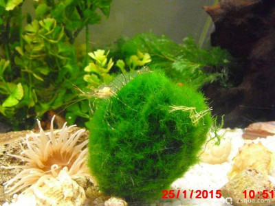 Фото Маленький кусочек моря (photo#157056)