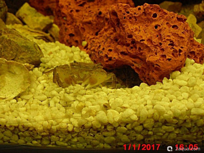 Фото Маленький кусочек моря (photo#157057)