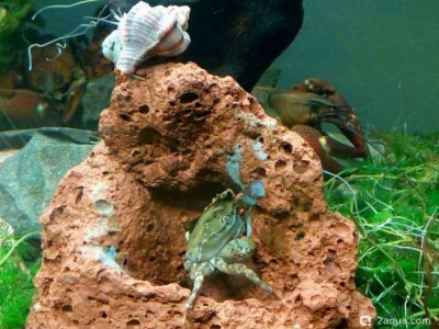 Фото Маленький кусочек моря (photo#157058)