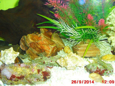 Фото Маленький кусочек моря (photo#157060)