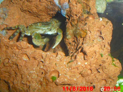 Фото Маленький кусочек моря (photo#157061)