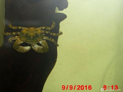 Фото Маленький кусочек моря (photo#157062)