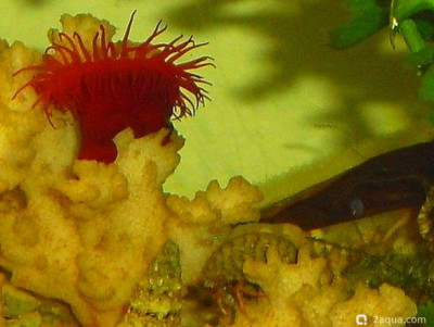 Фото Маленький кусочек моря (photo#157063)