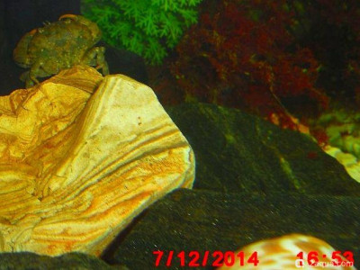 Фото Маленький кусочек моря (photo#157064)