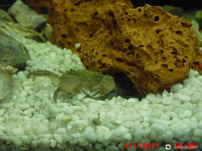 Фото Маленький кусочек моря (photo#157065)