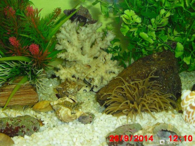 Фото Маленький кусочек моря (photo#157066)