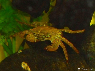 Фото Маленький кусочек моря (photo#157067)