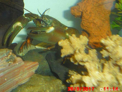 Фото Маленький кусочек моря (photo#157069)