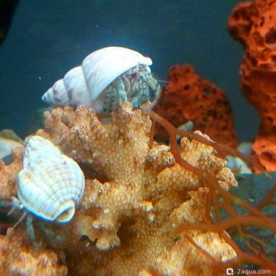 Фото Маленький кусочек моря (photo#157070)