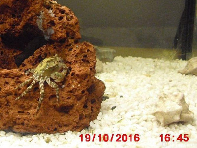 Фото Маленький кусочек моря (photo#157071)