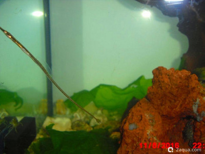 Фото Маленький кусочек моря (photo#157073)