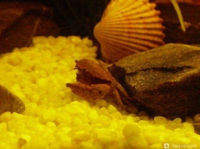 Фото Маленький кусочек моря (photo#157076)