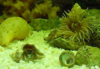 Фото Маленький кусочек моря (photo#157077)