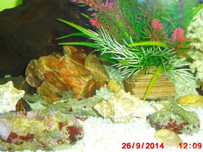 Фото Маленький кусочек моря (photo#157078)