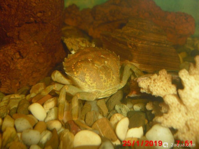 Фото Маленький кусочек моря (photo#157080)