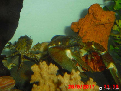 Фото Маленький кусочек моря (photo#157081)