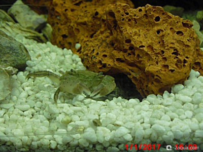 Фото Маленький кусочек моря (photo#157082)