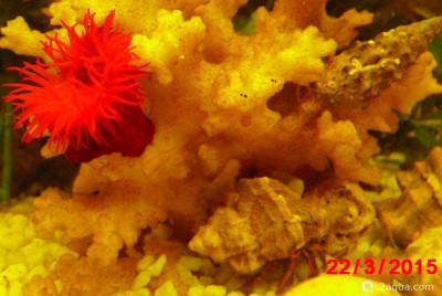 Фото Маленький кусочек моря (photo#157083)