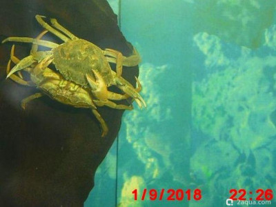 Фото Маленький кусочек моря (photo#157084)