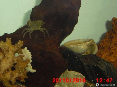 Фото Маленький кусочек моря (photo#157086)