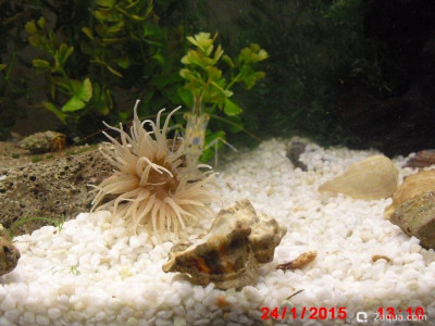 Фото Маленький кусочек моря (photo#157087)