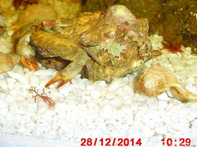 Фото Маленький кусочек моря (photo#157088)