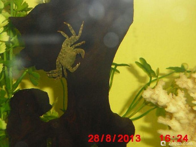 Фото Маленький кусочек моря (photo#157089)