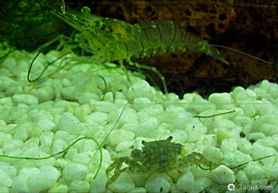 Фото Маленький кусочек моря (photo#157090)