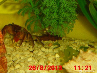 Фото Маленький кусочек моря (photo#157091)