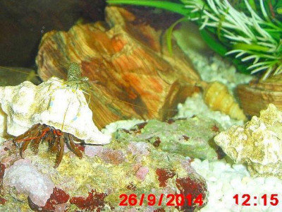 Фото Маленький кусочек моря (photo#157092)