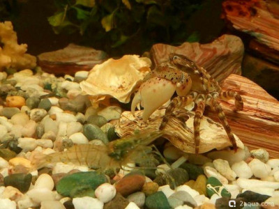 Фото Маленький кусочек моря (photo#157093)