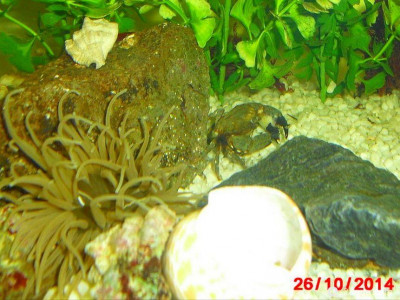 Фото Маленький кусочек моря (photo#157095)