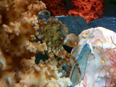 Фото Маленький кусочек моря (photo#157096)