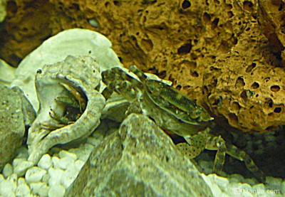 Фото Маленький кусочек моря (photo#157097)