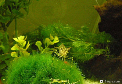 Фото Маленький кусочек моря (photo#157098)