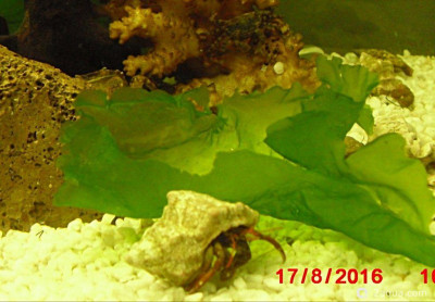 Фото Маленький кусочек моря (photo#157099)