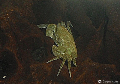 Фото Маленький кусочек моря (photo#157100)