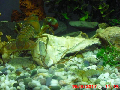 Фото Маленький кусочек моря (photo#157101)