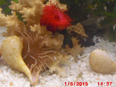 Фото Маленький кусочек моря (photo#157102)