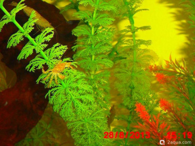 Фото Маленький кусочек моря (photo#157104)